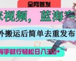 AI猫咪视频蓝海赛道，操作简单，直接海外搬运，简单去重，操作简单，有手就行日入3张