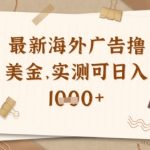 最新海外广告联盟挂机撸美金项目，实测可日入多张【揭秘】