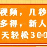 最新审核视频，几秒一单，多劳多得，新人小白一天轻松3张【揭秘】