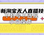 2025年淘宝无人直播带货10.0.全新技术，不违规，不封号，纯小白操作，日入数张【揭秘】