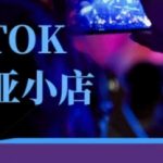 Tiktok东南亚跨境小店运营班，一门专业的TK小店运营培训课