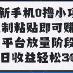 最新手机0撸小项目，复制粘贴即可挣钱，平台放量阶段，单日收益轻松3张+【揭秘】