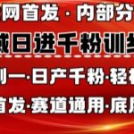 私域日进千粉训练营，全网首发，从0开始带你做好私域，适用于任何赛道，让日产千粉不再是梦