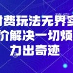 淘宝付费玩法无界实操课程，高价解决一切烦恼，大力出奇迹