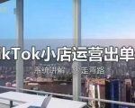 TikTok小店运营出单课，从开店选品、运营出单、发货回款，进行全流程讲解
