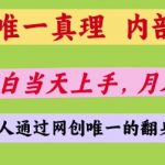 网创唯一真理，内部课程，新手小白当天上手，月入5位数，普通人通过网创唯一的机会【揭秘】