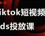 Ads视频投放课，tiktok短视频广告投放课