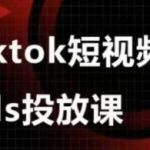 Ads视频投放课，tiktok短视频广告投放课