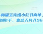 即梦+林黛玉完爆小红书商单，3天涨粉1千，靠怼人月入5k+