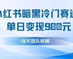小红书冷门”暗黑”赛道，单日收益多张