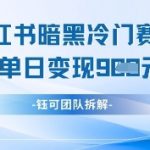 小红书冷门”暗黑”赛道，单日收益多张