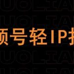 视频号线上课程，视频号轻IP打造