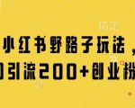 最新小红书野路子玩法，单日引流200+创业粉