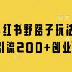最新小红书野路子玩法，单日引流200+创业粉