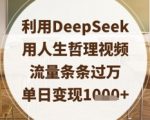 利用DeepSeek用人生哲理视频，流量条条过万，单日变现数张