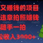 解气又挣钱的项目，最新违章拍照挣钱，随手一拍，轻松收入多张【揭秘】