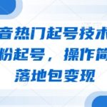 最新抖音热门起号技术，独家教学涨粉起号，操作简单，包落地包变现