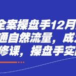 短视频全案操盘手12月线下课，如何打通自然流量，成为现象级IP必修课，操盘手实战经验