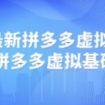 2025最新拼多多虚拟实战打法，拼多多虚拟基础sop