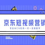 京东短视频营销项目，专业MCN机构一对一实操教学