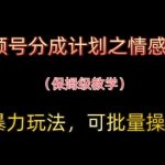 视频号分成计划之情感赛道暴力玩法，可批量操作，保姆级教学