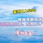 微信视频号最新玩法，表情包搭配情感文案，2分钟一条原创作品，简单好上手，轻松日入几张