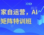 实体商家自运营，AI短视频矩阵特训班