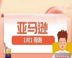 亚马逊1对1陪跑课(FBA/FBM精铺)跨境亚马逊教程