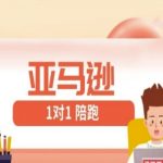 亚马逊1对1陪跑课(FBA/FBM精铺)跨境亚马逊教程