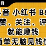 小而美的项目，抖音小红书B站视频点赞、关注、评论就能挣钱，简单无脑立见收益，妥妥的零撸项目【揭秘】
