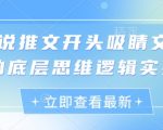小说推文开头吸睛文案的底层思维逻辑实操