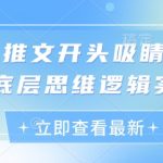 小说推文开头吸睛文案的底层思维逻辑实操