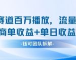 中老年赛道百万播放+流量主收益+定制收益，单日收益9张