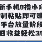 最新手机0撸小项目，复制粘贴即可挣钱，平台放量阶段，单日收益轻松3张+【揭秘】