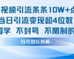 国学视频引流条条10W+点赞当日引流变现超4位数