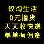 拼夕夕搬砖+快递回收，低门槛人人可做，实测月入1500+团队收益无上限【揭秘】