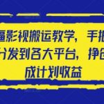 2025最牛逼影视搬运教学，手把手教你操作，分发到各大平台，挣创作者分成计划收益