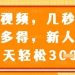 视频审核员，几秒一单，不限时间，不限地点，多做多得，新人小白一天轻松几张+【揭秘】
