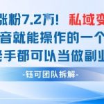 抖音私域项目23条作品涨粉7.2W，私域变现1W