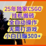 25年独家CSGO挂G搬砖，全自动操作，无需打游戏，小白日入3张+【揭秘】