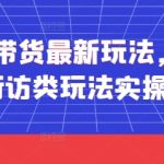 短视频带货最新玩法，带货视频之街访类玩法实操全流程
