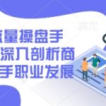2025IP流量操盘手训练营，深入剖析商业IP操盘手职业发展（更新）