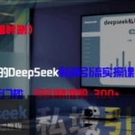精准打击：价值3980的DeepSeek私域引流实操课，小白实操无门槛，日引精准粉300+