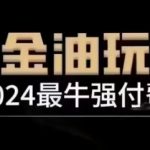 2024最牛强付费，万金油强付费玩法，干货满满，全程实操起飞（更新25年04月）