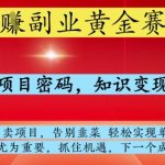 网创副业黄全赛道，掌握独家项目密码，知识变现快人一步，告别韭菜轻松实现单日变现1k+【揭秘】