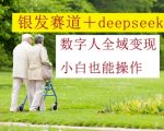 银发赛道+deepseek数字人全域变现，小白也能操作