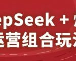DeepSeek+爆品运营组合玩法，2025淘系精品课