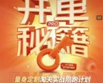 淘宝开单秘籍PRO，量身定制淘天实战陪跑计划，告别做店迷茫、快速突破运营瓶颈期（更新）