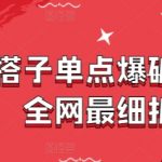 同城搭子单点爆破日入千，全网最细拆解