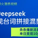 利用Deepseek做影视台词拼接混剪视频，条条爆款流量过W，单日变现多张